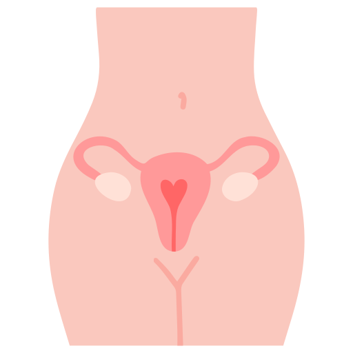 sistema reproductivo